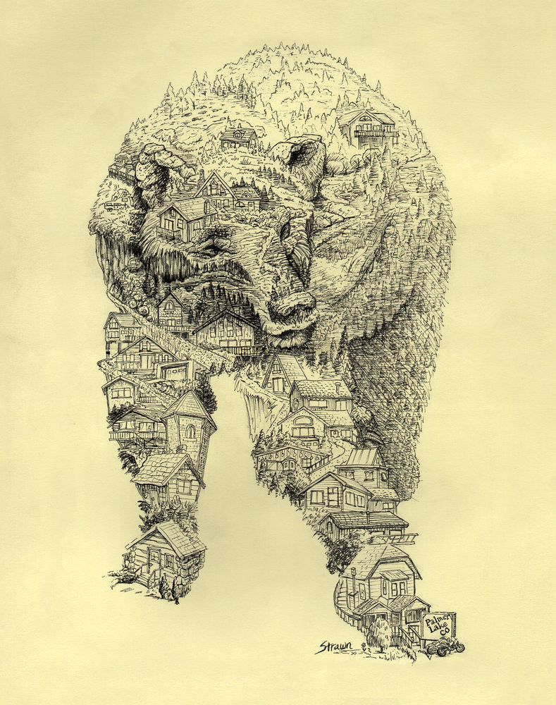 Pen drawing of a grizzly bear, titled Palmer Lake Grizz.